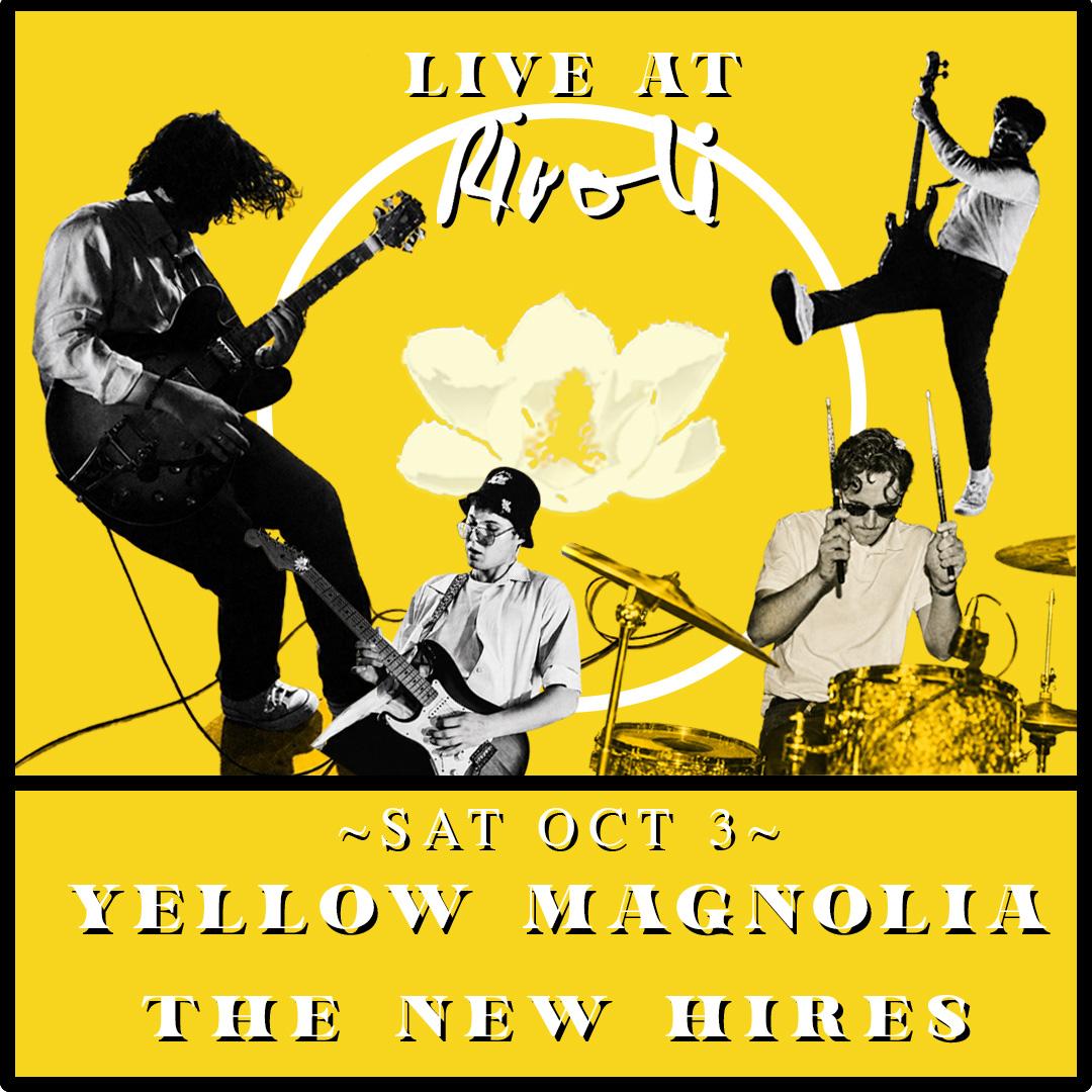 Yellow Magnolia