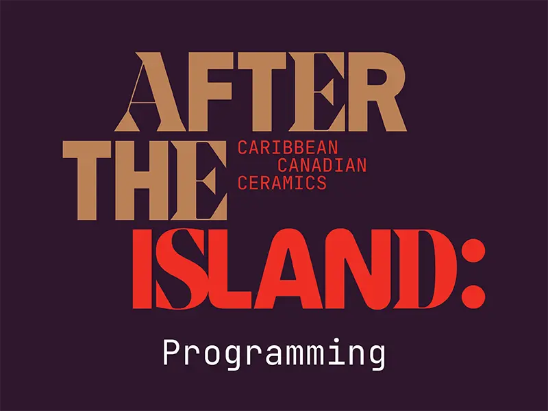 After the Island: Public Opening