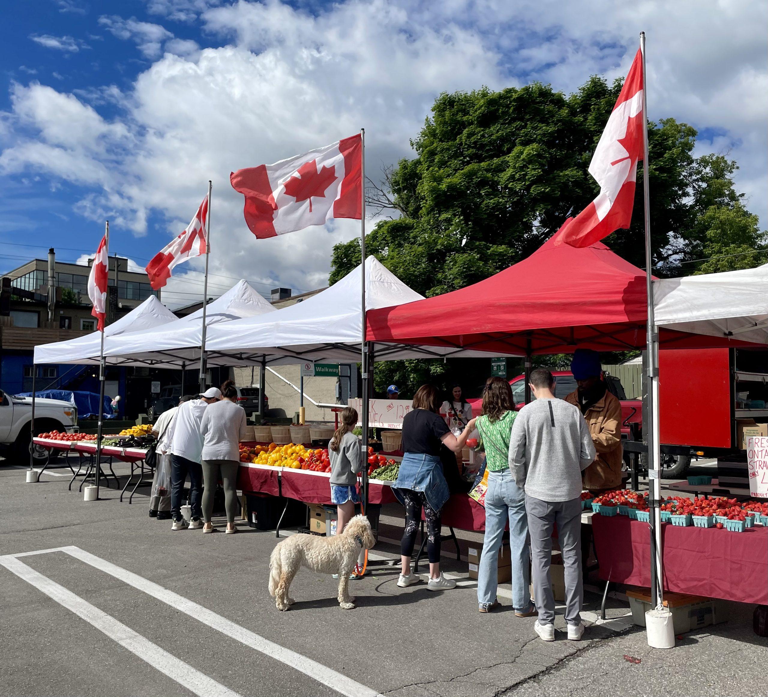 Eglinton Way BIA: Farmer’s Market (every Sunday)