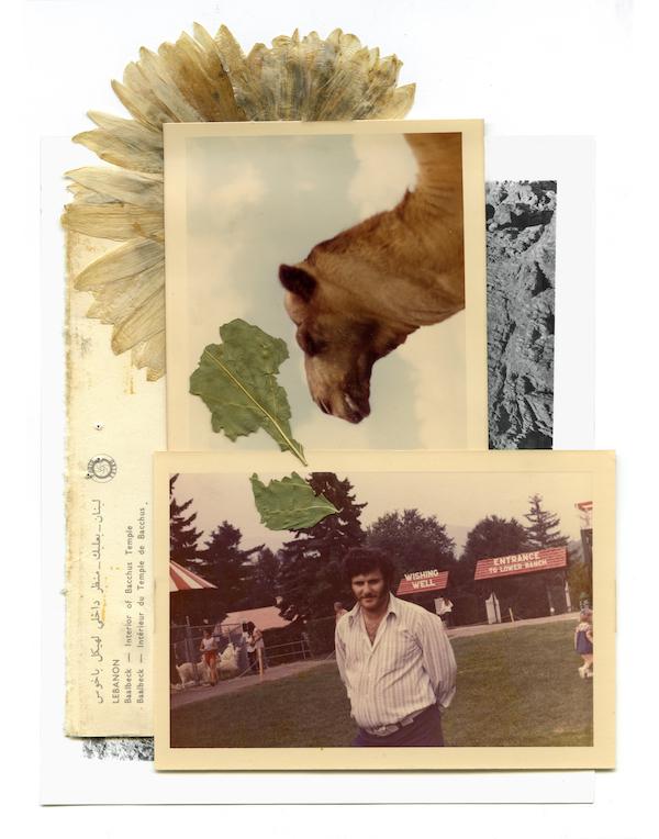 Love Letter to the Father I Wish I Knew
