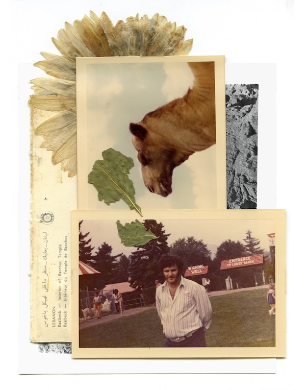 Love Letter to the Father I Wish I Knew