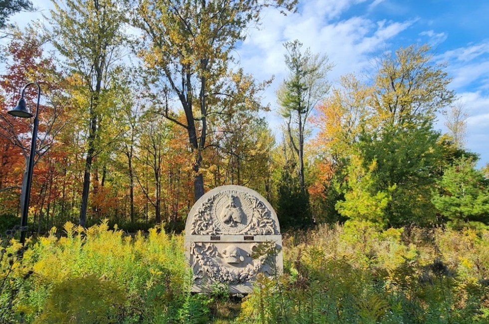 Guild Park's Carolinian Forest
